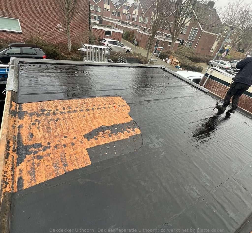 Dakleer Reparatie Uithoorn