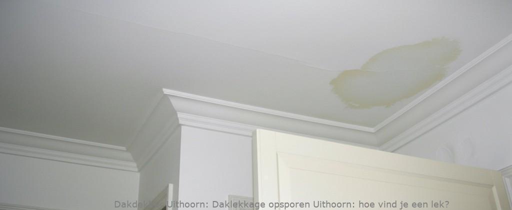 Daklekkage Opsporen Uithoorn 1
