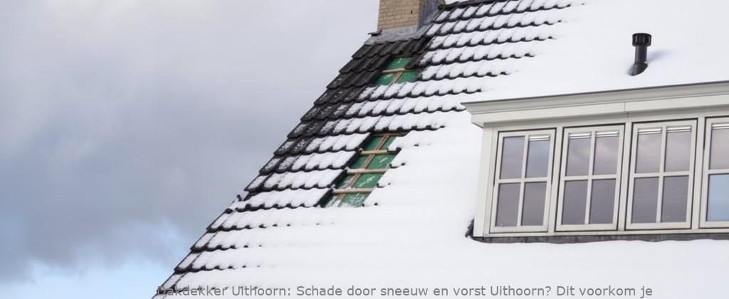 Schade Door Sneeuw En Vorst Uithoorn